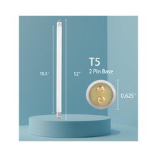 TUBO FLUORESCENTE F8 